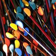 Branches de lunttes Nao Ned